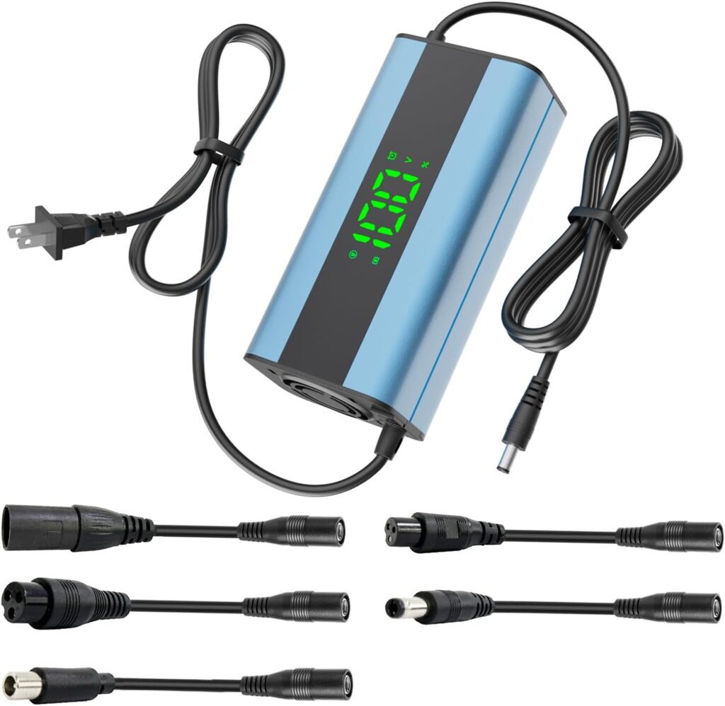 Electric Scooter Charger